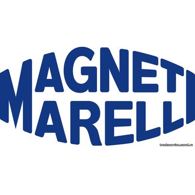 Распиновка блока управления Magneti Marelli MJD 602 (Opel)